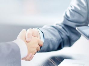 新市區(qū)公司注冊(cè)與商務(wù)信息咨詢(xún) 一站式服務(wù)助力企業(yè)啟航